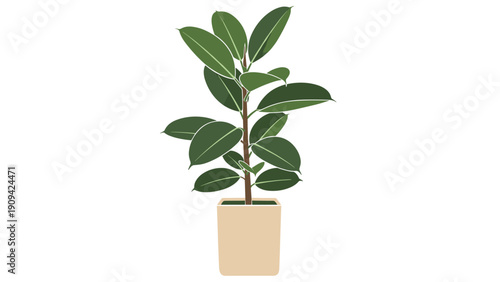 Illustration of a green leafy rubber plant in a simple beige pot isolated on a white background for interior decoration.