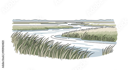 Illustration of a serene marshland landscape with winding water channels and tall grasses under a clear sky.