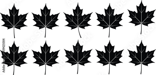 Set of Maple Leaf Silhouettes Featuring Ten Detailed Black Foliage Icons for Autumn Season Decoration Canadian Identity Symbols Nature Patterns and Fall Themed Graphic Design Projects