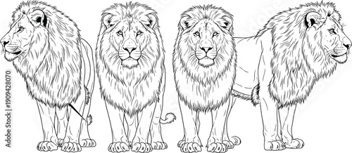 Professional business avatar collection featuring male and female corporate profiles in suits for office teamwork leadership and professional company branding