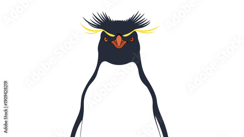 Close-up illustration of a macaroni penguin head with its distinctive yellow crest feathers on white background.