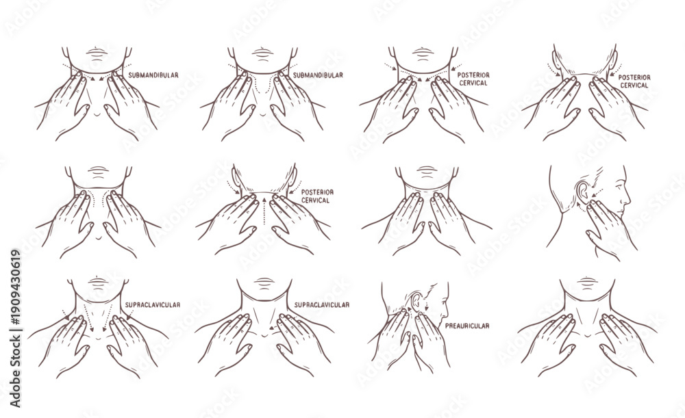 Fototapeta premium Lymph Node Examination Hand Set - Neck and Jawline Palpation Medical Procedure Silhouettes Isolated on White