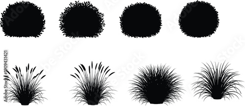Set of black bush and grass silhouettes, decorative shrubs and ornamental plants isolated on white background for landscape design, gardening, and nature illustration use