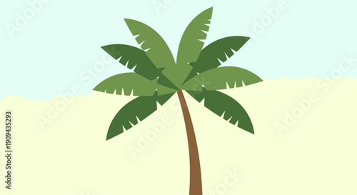 Single Palm Tree with Green Leaves.