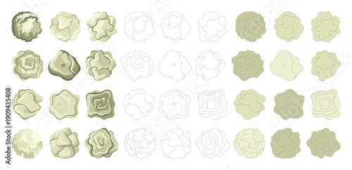 Top view trees for architectural plans and landscape design. Minimal vector illustration for urban planning, site plans, and architectural entourage.