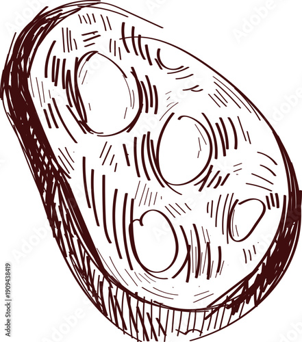 Sausage Slice Sketch