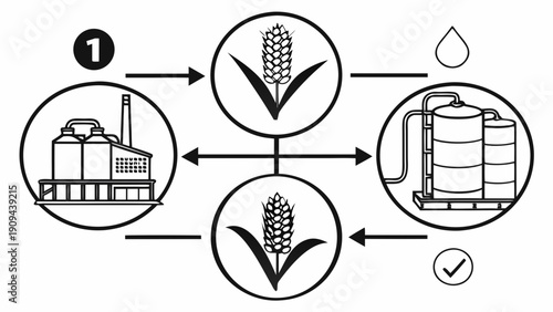 Corn production process from factory to biofuel storage.