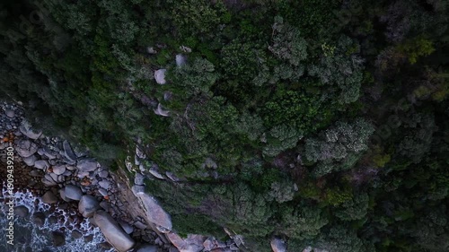 Aerial view of dark green vegetation meets the rocky shoreline where the waves crash, Cape Town, South Africa.