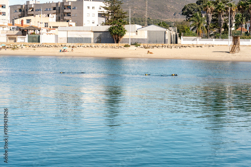 High quality photo of scuba divers practicing in calm surface water near the beach at Playa del Cachon, La Linea de la Concepcion, Spain. Perfect for travel, tourism, and adventure themed projects.