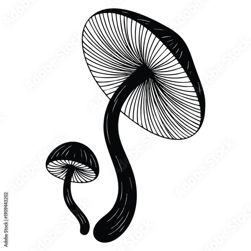 Silhouette and stencil of toadstool mushrooms vector graphics illustration suitable for decorative botanical themes spooky nature artwork pattern design and creative background use