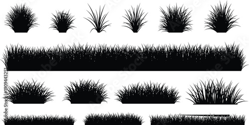 Black silhouettes of various grass types and lengths on white background clumps