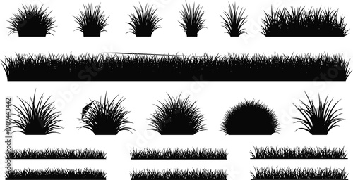 Black silhouettes of various grass types and lengths on white background clumps 1
