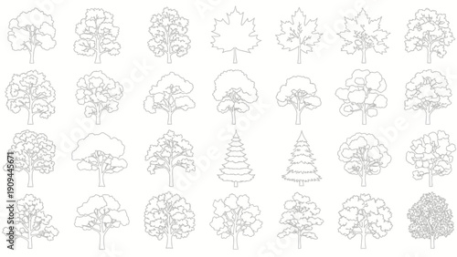 tree silhouettes collection, outline of various trees, nature elements