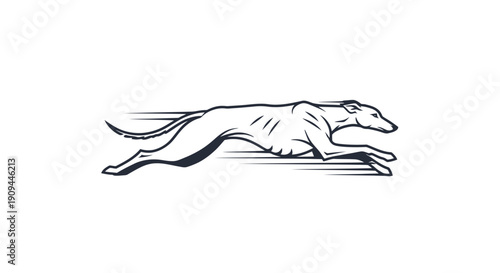 Dynamic illustration of a greyhound in full sprint, showcasing speed and agility from a side viewpoint