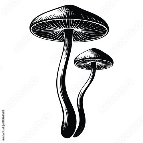 Toadstool mushrooms silhouette stencil vector graphics design element ideal for nature inspired decoration botanical pattern artwork spooky forest visuals and creative design projects