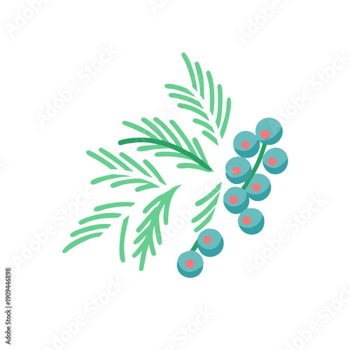 Vector illustration of a sprig of mistletoe