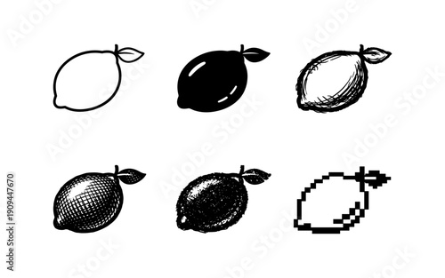 Collection of six diverse lemon illustrations in black and white, showcasing different artistic styles