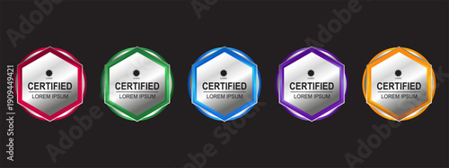 Premium Certificate badge hexagon template vector illustration