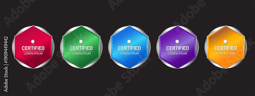 Premium Certificate badge hexagon template vector illustration
