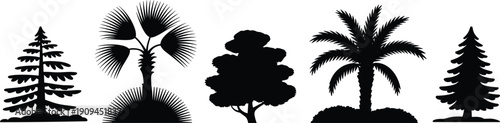 Tree silhouettes set, coniferous pine, fan palm, broadleaf canopy, date palm fronds, nature icons, forest illustration, botanical shapes, black silhouette tree collection