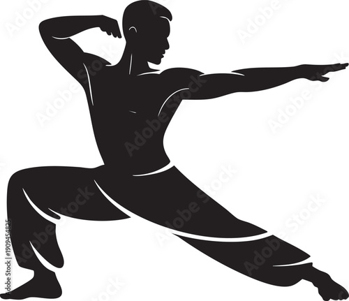 Martial arts fighter silhouette in dynamic pose practicing combat sport training powerful athlete flexibility agility strength workout