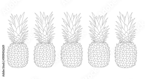 Line Art Illustration of Five Stylish Pineapples Arranged in a Row.