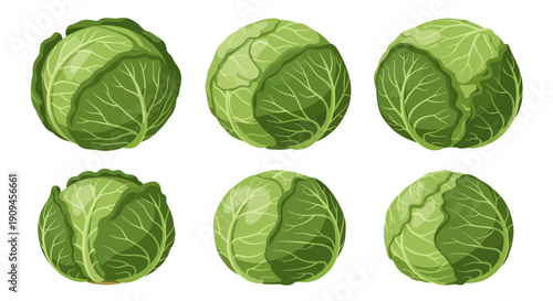 Collection of Vibrant Illustrated Brussels Sprouts Vegetables in Various Poses.