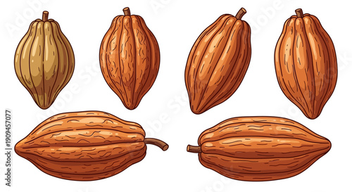 Illustrated Set of Ripe Cocoa Pods in Various Shapes and Colors.