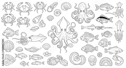 Extensive collection of marine life line art illustrations including fish, crabs, octopus, squid, and seashells for aquatic themed design.