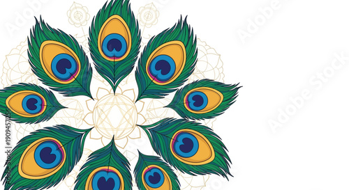 Vibrant peacock feathers arranged in floral pattern