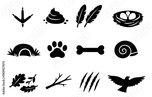 Simple silhouette nature and animal symbols set featuring tracks, nesting, and outdoor elements for environmental design and wildlife themes