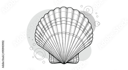 Detailed line art illustration of a large seashell or scallop shell with concentric patterns and soft gray background shapes.