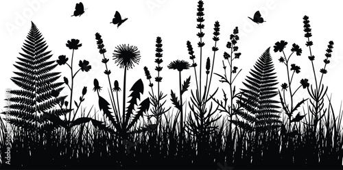 Meadow grass silhouette with dandelions and butterflies, nature summer field vector illustration, floral spring garden border design element isolated on white background.