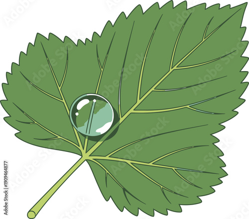 A vibrant green leaf with a dewdrop reflecting its surroundings.