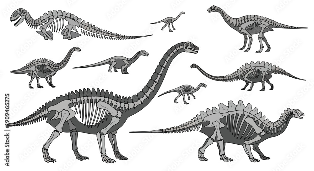 Naklejka premium A grayscale illustration of various dinosaur skeletons in different poses on a white background.