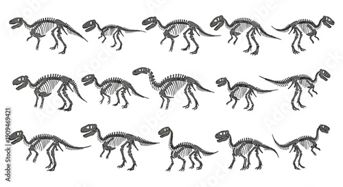 Sequence of grey dinosaur illustrations in various walking poses on a white background.