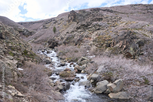 Winter landscape in Caviahue, Neuquen, Argentina: Arroyo de la Usina stream surrounded by rocks and leafless vegetation.