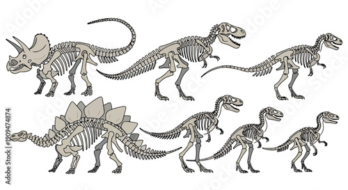 Illustration of dinosaur skeletons walking in a line against a white background with a neutral mood.