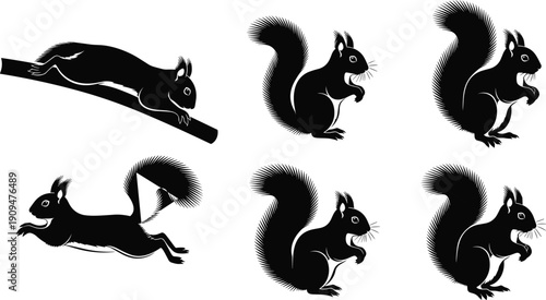 Silhouette set of cute squirrel animal running and sitting, wild rodent character collection, vector illustration isolated on white background, forest nature logo.