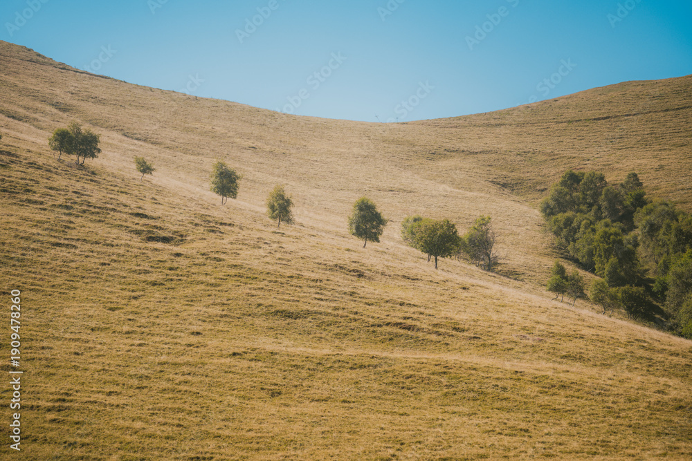 Obraz premium Montagna 