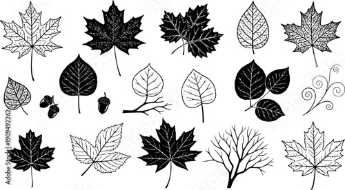 Vector set of decorative autumn leaf silhouettes.