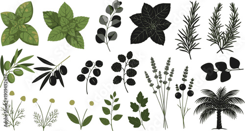 Black autumn leaves. Decorative fall elements isolated on white background. Vector illustration foliage silhouettes for greeting vintage cards and posters