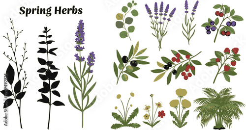 Black autumn leaves. Decorative fall elements isolated on white background. Vector illustration foliage silhouettes for greeting vintage cards and posters