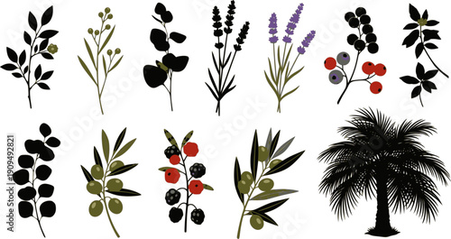 Black autumn leaves. Decorative fall elements isolated on white background. Vector illustration foliage silhouettes for greeting vintage cards and posters