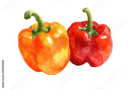 Watercolor depiction of two vibrant bell peppers, one orange and one red, against a black background