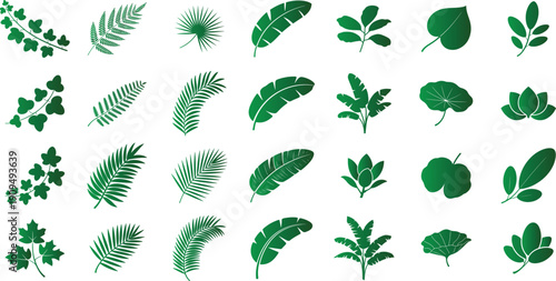 Various stylized green color leaf silhouettes collection, banana leaf, palm frond, fern frond, ivy leaf, lotus leaf, magnolia leaf, solid black silhouette with crisp, well-defined edges for vector.