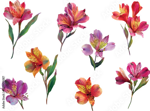 collection of flowers