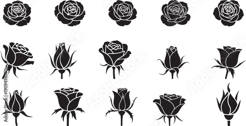Various rose flower silhouettes collection, including rose bud, half-bloom, side view blossom, and top view flower solid black shapes for design applications or educational purposes vector format.