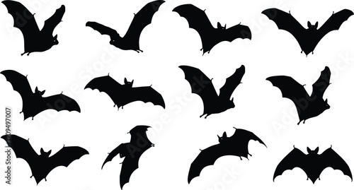 Flying Bat Silhouette Collection in Various Wing Positions Isolated on White Background Vector Illustration for Halloween, Wildlife and Gothic Design