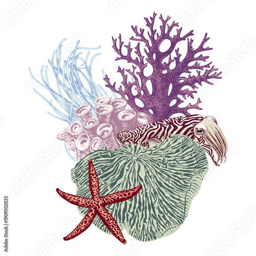 Coral reef group with sea star and cuttlefish